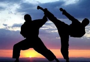 Lire la suite à propos de l’article Martial Arts Society Présentation