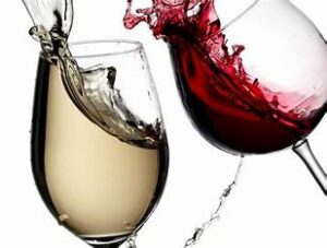 Lire la suite à propos de l’article Tasting Society Présentation