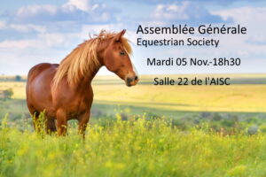 Lire la suite à propos de l’article EQUESTRIAN SOCIETY : Assemblée Générale – Mardi 05 Novembre 2024