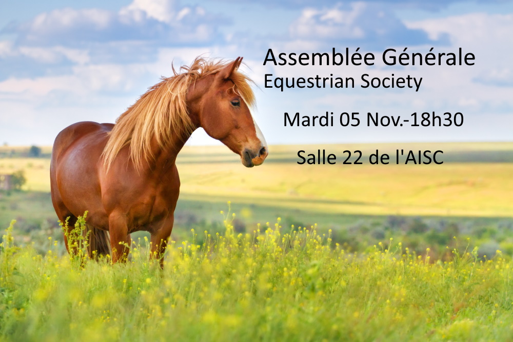 EQUESTRIAN SOCIETY : Assemblée Générale - Mardi 05 Novembre 2024