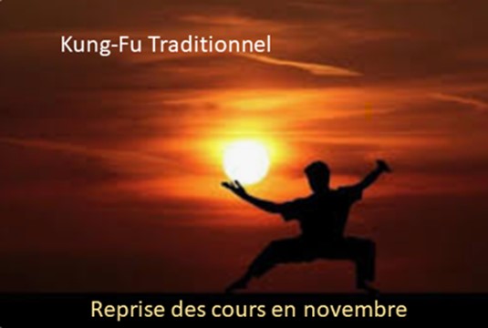 MARTIAL ARTS Society : Venez découvrir les cours de WING CHUN