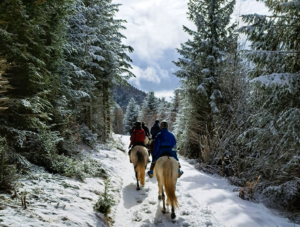 Lire la suite à propos de l’article EQUESTRIAN Society : Retour sur une expérience inoubliable