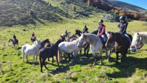 Lire la suite à propos de l’article TRANSHUMANCE à Cheval : Récit d&rsquo;un week-end incroyable
