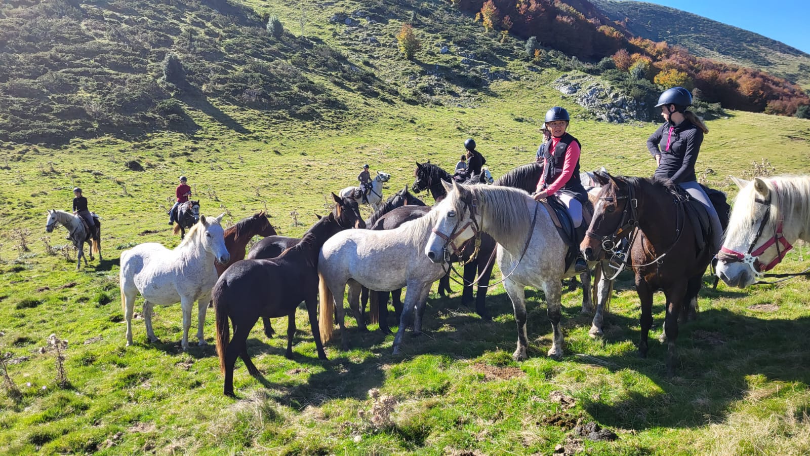 Read more about the article TRANSHUMANCE à Cheval : Récit d’un week-end incroyable