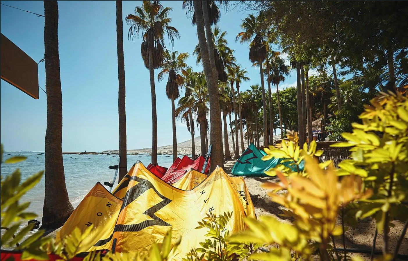 WIND AND WAVE SOCIETY -🌊 Fuerteventura 2026 : L’aventure "Wind and Wave" !  Windsurf, Kitesurf ou Wingfoil ! 